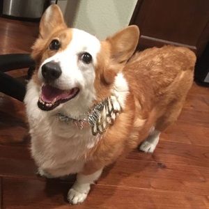 Meet your Posher, Jim